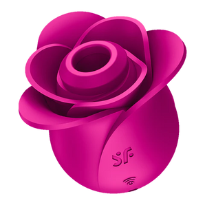 Pro 2 Modern Blossom