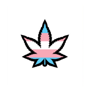 Enamel Pin: Trans Weed Leaf