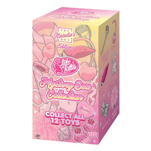 Mystery Box 12 Pc. Display – Natalie’s Toy Box Edition