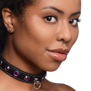 Royal Vixen Leather Choker Rhinestones