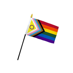 Inclusive Pride 4" x 6" Stick Flag