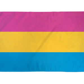 Pansexual Flag 2' x 3' Polyester