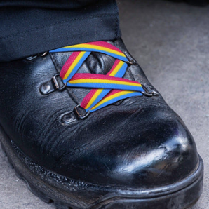 Pansexual Flag Striped Shoe Laces