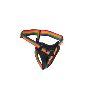 Take the Rainbow Universal Harness